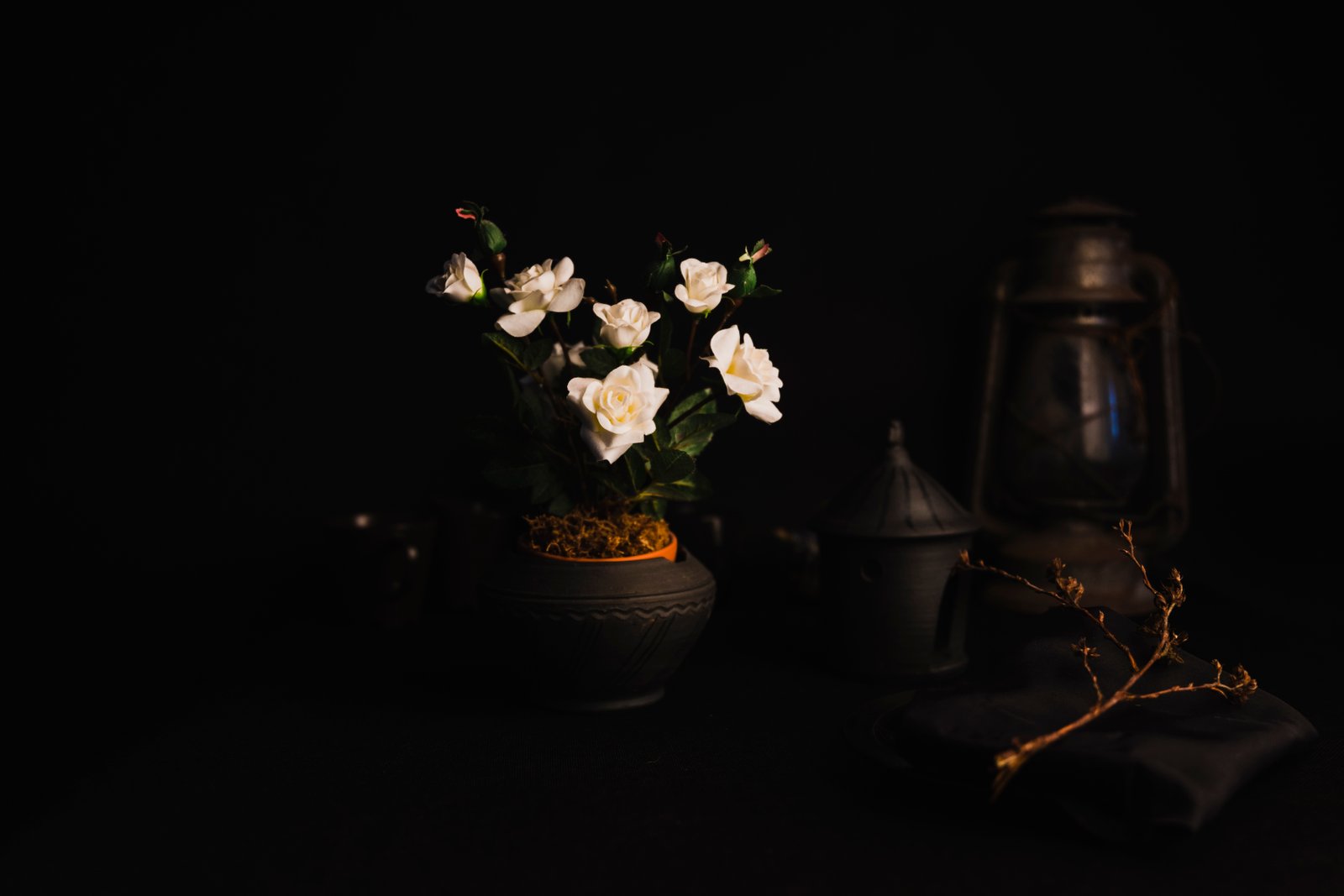 3 bhk property near gkp